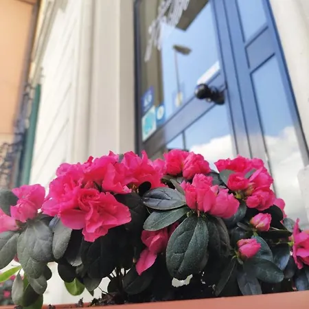 Hotel Il Villino